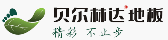  地板